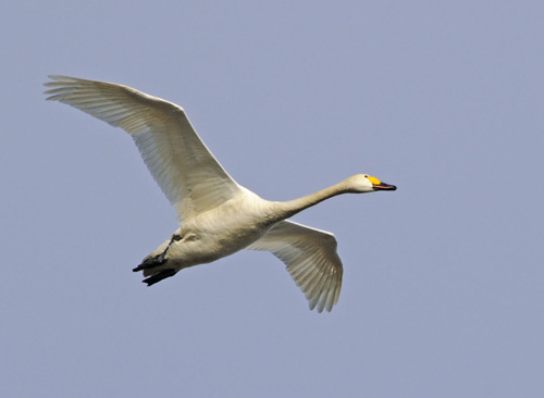 ����� ������ � �����